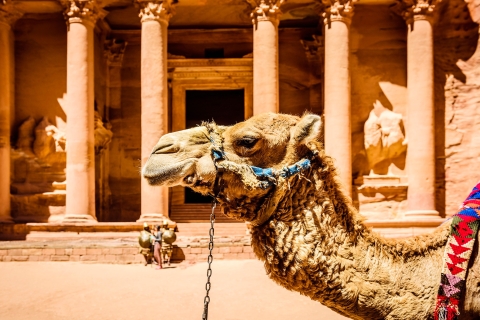 6 Tage private Tour zu Jordaniens besten Sehenswürdigkeiten