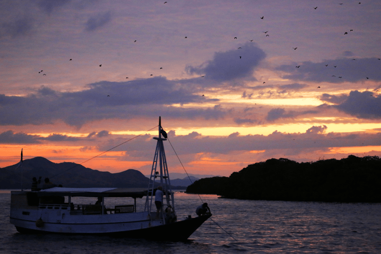 Eiland Komodo: 3-daagse privétour met boot & hotelAvontuur zonder vluchten