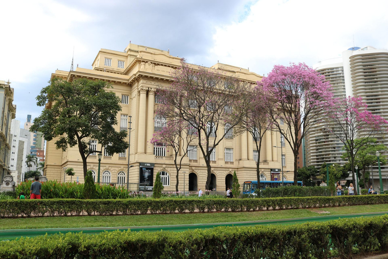 Shore Excursion from Port of Santos: São Paulo Day Tour