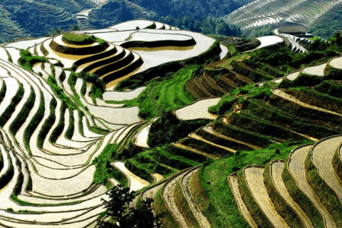 Private tour to Longsheng Terrace start from Guilin/Yangshuo