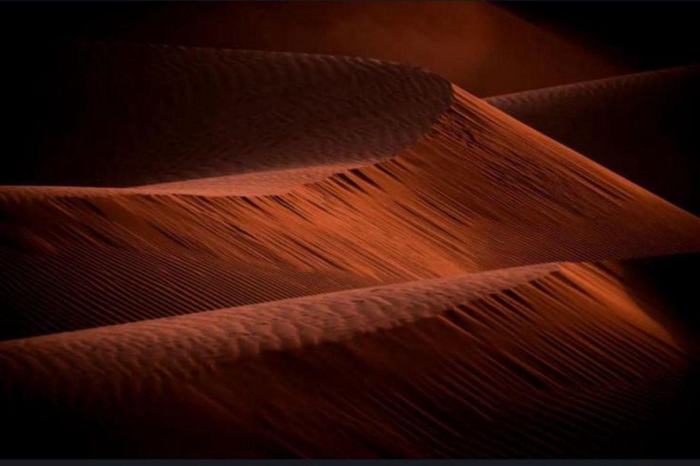 Doha: Night Desert Safari Stargazing & Camel Ride Shared Tour Pick-up From Meeting Point Without Camel ride