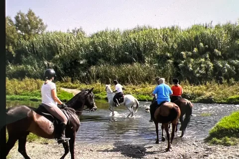 Geführte Reittour durch das Guadalhorce-Tal