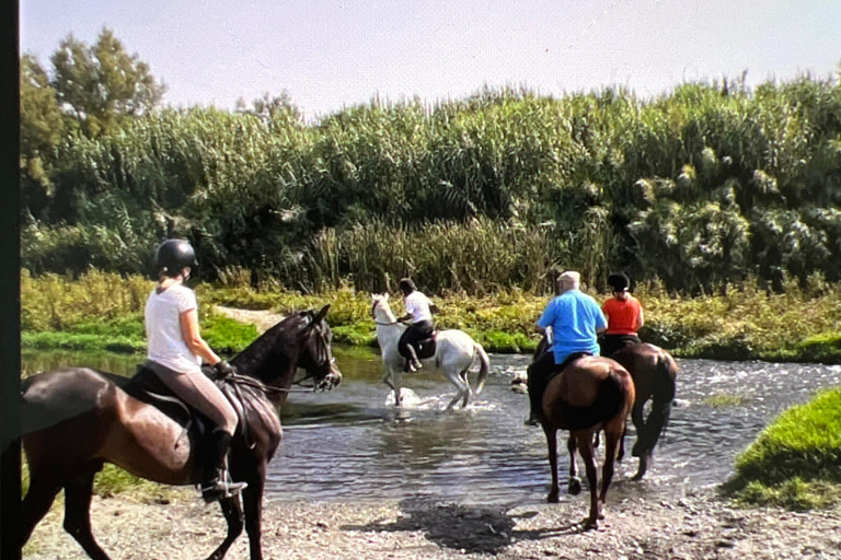 Guided tour on horseback through the guadalhorce valley