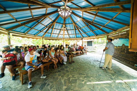 Avontuur in Tayrona Park in Santa Marta: Cabo San Juan vanuit Cartagena