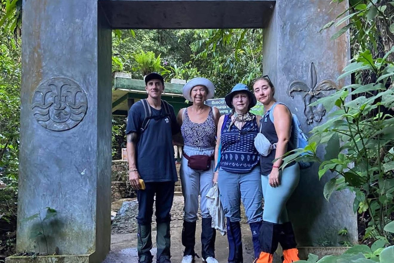 4 Hour Sinharaja Rainforest Tour