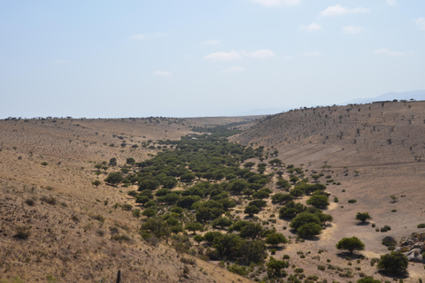 Chile: Das verzauberte Tal der atlantischen Schamanen Zeremonienstätte