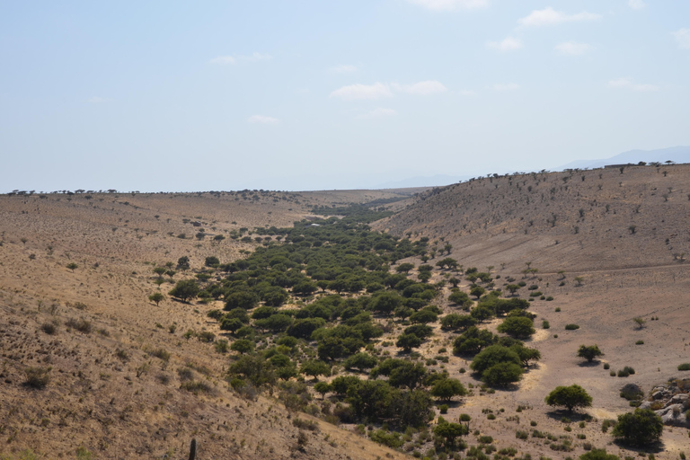 Chile: Das verzauberte Tal der atlantischen Schamanen Zeremonienstätte