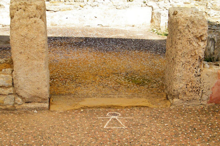 Hammamet: The Golden Triangle of Cap Bon: Klebiya, Kerkouene, and Korbous Hammamet: The golden triangle of Cap Voucher: Klebiya, Kerkouene, and Korbous