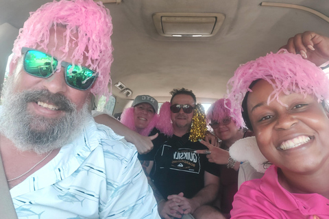 St. John's Laviscount Island Giant Tortoises &Long Bay Beach