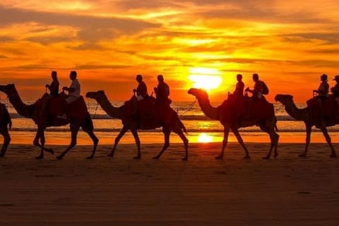 Agadir or Taghazout: Camel Ride Guided Tour At Sunset w/Tea