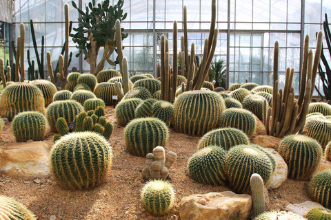 Chiang Mai: Queen Sirikit Botanic Garden Entry Ticket