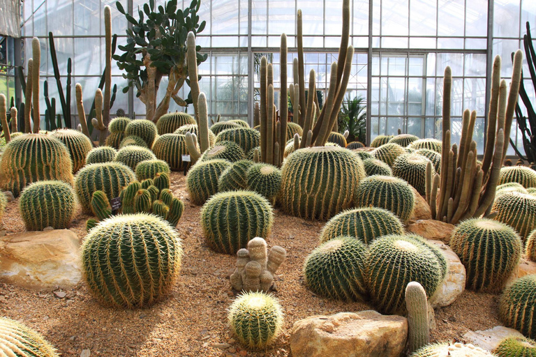 Chiang Mai: Queen Sirikit Botanic Garden Entry Ticket