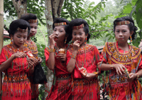 Tana Toraja, private 3D2N -Tour in South Sulawesi - Housity