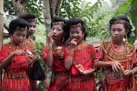 Tana Toraja: tour privato di 3D2N nel Sulawesi meridionaleTour senza voli