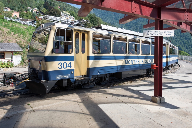 De Montreux aux Rochers-de-Naye : Billet d'aventure alpineMontreux - Rochers-de-Naye Billet de train à crémaillère