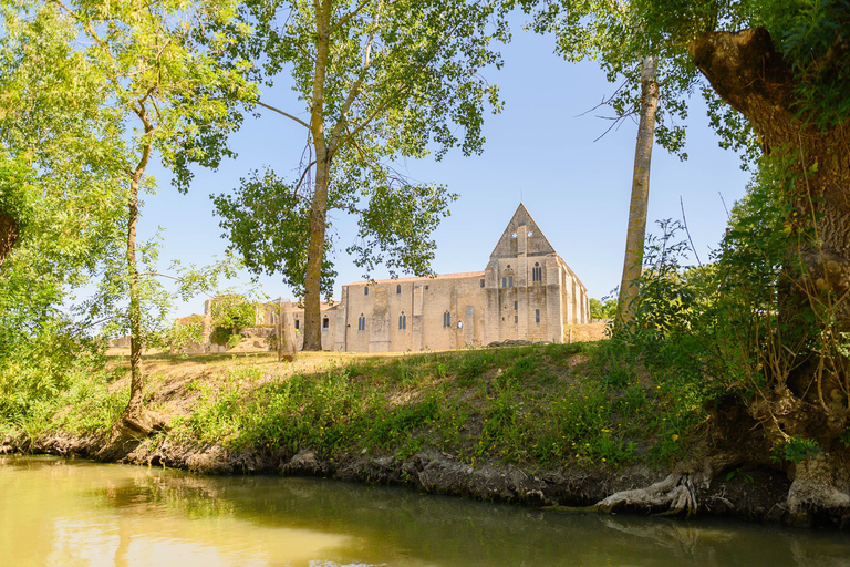 Marais Poitevin: A day of discovery in the footsteps of the builder monks Marais Poitevin: Discovery day in the footsteps of the monk-builders