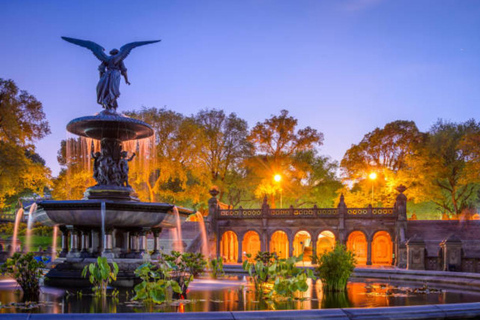 NYC Private Central Park Horse Carriage Ride with Guide NYC VIP Christmas Light Horse Carriage Ride