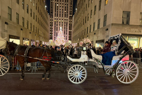 NYC: Central Park Christmas Lights Horse-Drawn Carriage Ride