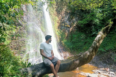 Chauffeured Ride to Silver and Love Waterfall, Lonely Tree