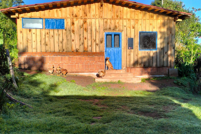 Ciudad de México: Tour por la cultura y las tradiciones de AcaxochitlánTour privado