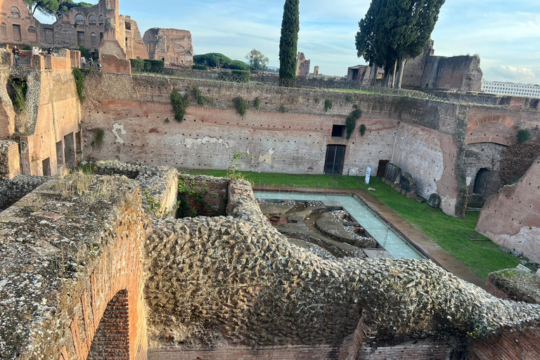 Small Group Guided Tour Colosseum Roman Forum, Palatine Hill Standard Tickets