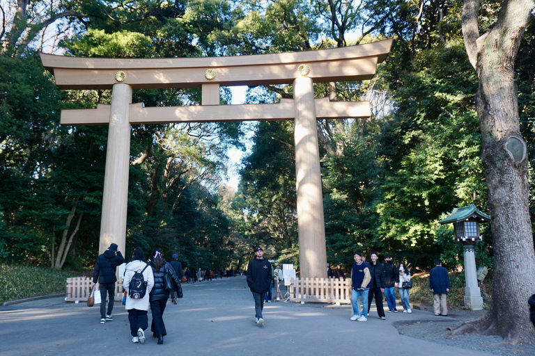 Tokyo: Santuario Meiji di Harajuku 1h a piedi Tour di spiegazioni
