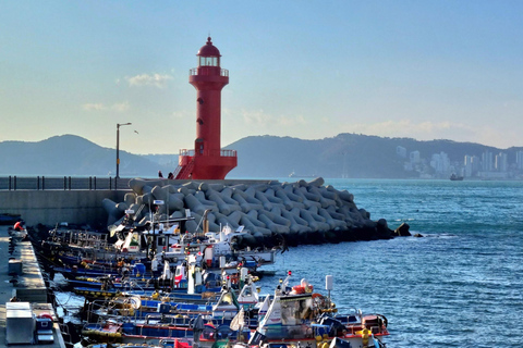 Busan: Easy Coastal Hiking Tour with Scenic Views