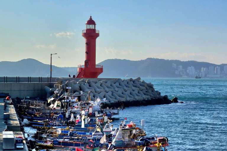 Busan: Easy Coastal Hiking Tour with Scenic Views
