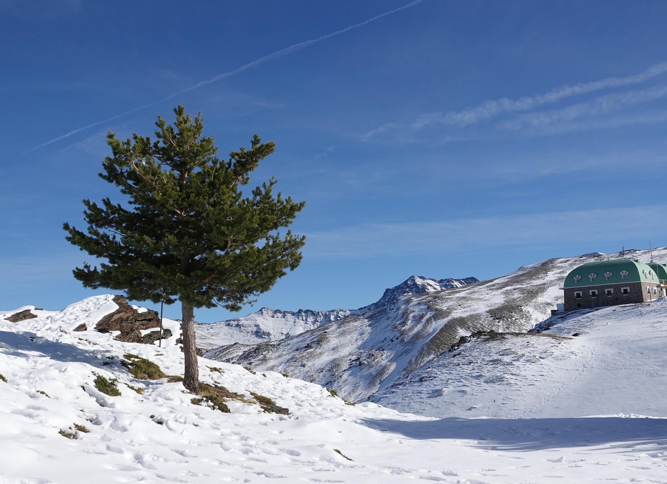 Fra Granada: Sierra Nevada Safari Tour til 2500 meters højde