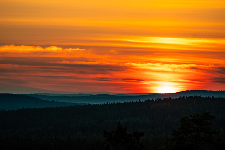 Rovaniemi: Midnight Sun Photography Tour
