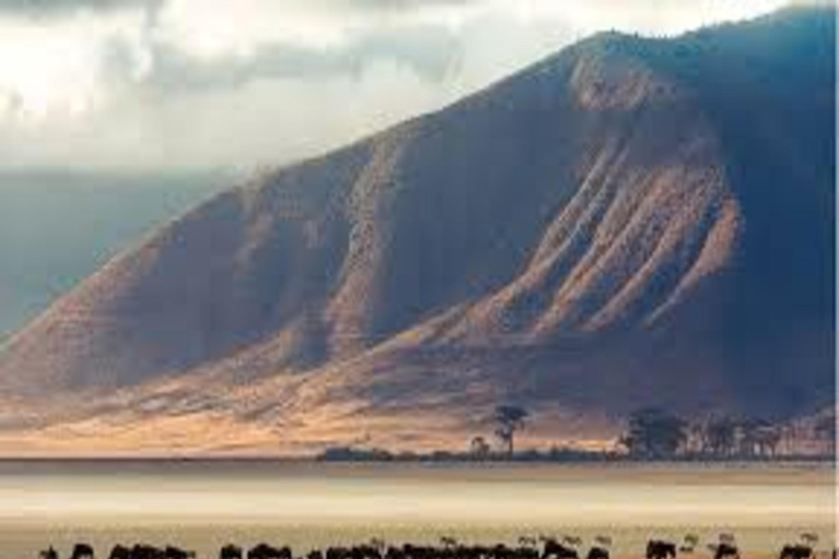 Arusha : 5 jours de safari au lac Manyara, au Serengeti et au Ngorongoro