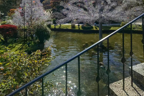 Hakone: Venetian Glass Museum Ticket