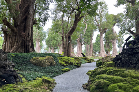 Chiang Mai: Changthong Heritage Park Entrance Ticket