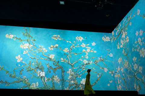 Riga: Van Gogh Immersive Exhibition Entry Ticket