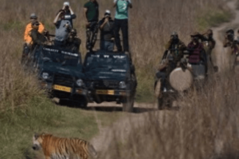 Jim Corbett National Park Safari with Lunch & Nature Tour