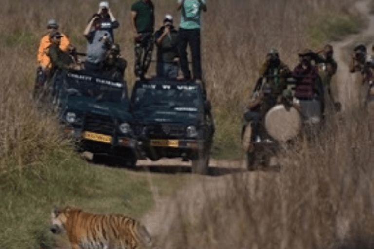Jim Corbett National Park Safari with Lunch & Nature Tour