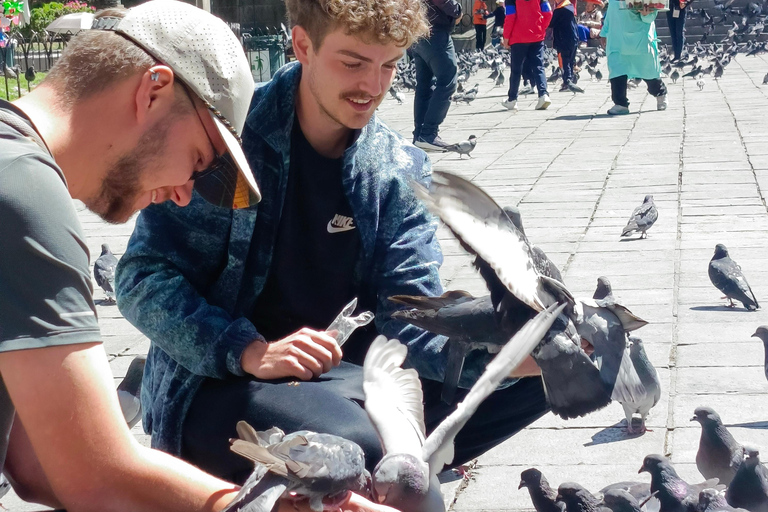 La Paz-El Walking-cable car Tour and the real witches market