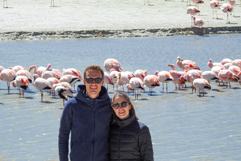 La Paz: 4-Day Uyuni Salt Flats to San Pedro de Atacama ENGLISH-SPEAKING GUIDE