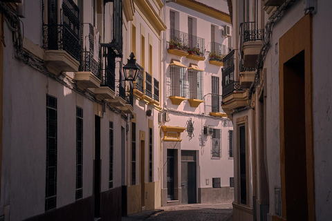 Sagunto - Tour a pie histórico privado