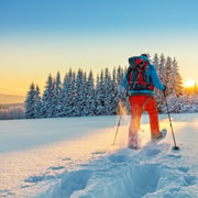 Levi: Gentle Snowshoe Walk in Winter Wilderness