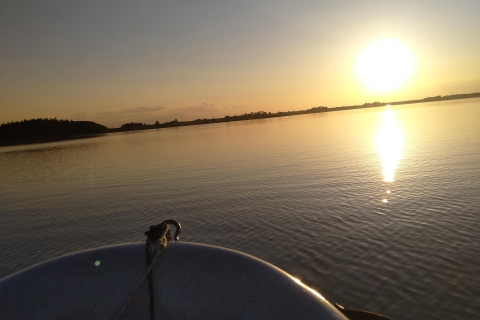 Roskilde: Guided kayaking on Roskilde Fjord: Sunset tour