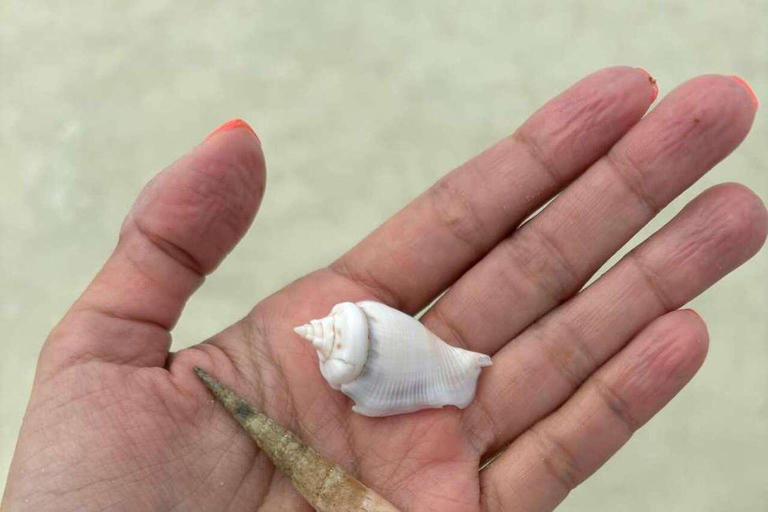 Zanzibar: tour dell'isola prigione, del banco di sabbia e della fattoria delle spezie