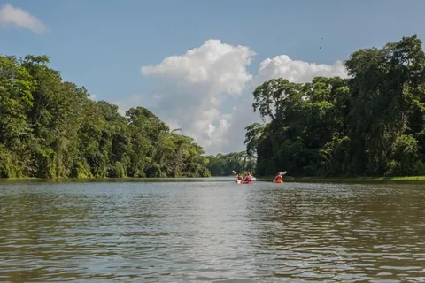 Guided Kayak Tour in Tortuguero National Park ***EXCITING***