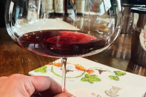 Alba: Barolo & Barbaresco Wijnreis