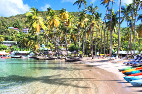 Saint Lucia: 3-godzinna wycieczka morska i lądowa do Marigot BaySaint Lucia: 3 hour Sea and Land Tour to Marigot Bay