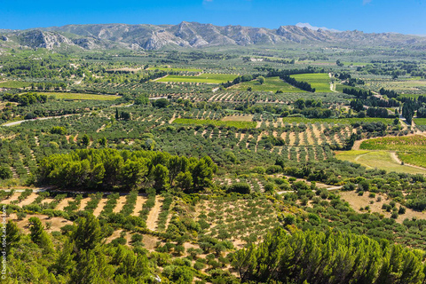 Vino, olio d&#039;oliva e villaggi panoramici della Provenza