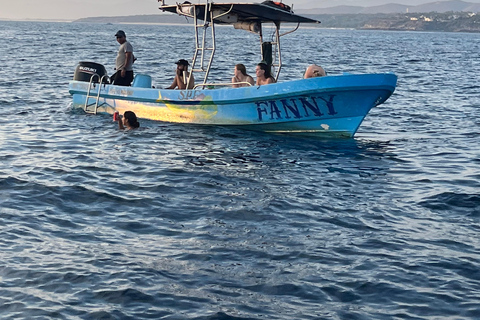 Puerto Escondido: Bootstour zu Delfinen und MeerestierenPrivate Tour