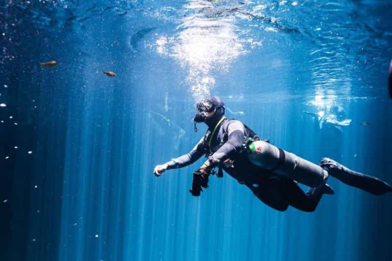 Tulum: Cenote Dos Ojos Dive – Dive Machine Experience