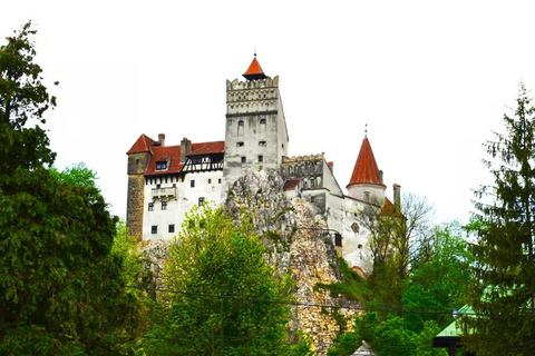 From Brasov: Peles and Dracula's Castle Guided Day Trip