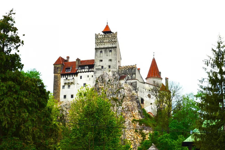 From Brasov: Peles and Dracula's Castle Guided Day Trip